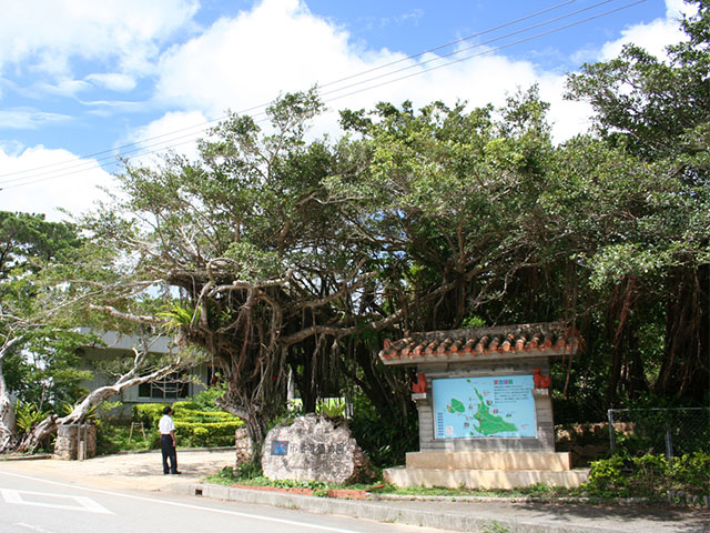 熱帯植物園内　体験工芸村