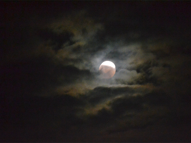 【Blog】皆既月食観察しました！