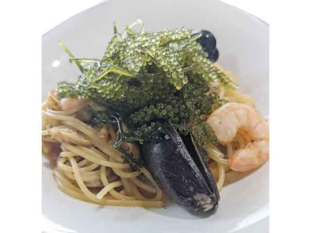 bistroちぃぽっぽ