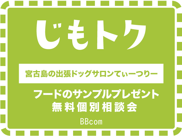 宮古島の出張ドッグサロンてぃーつりー