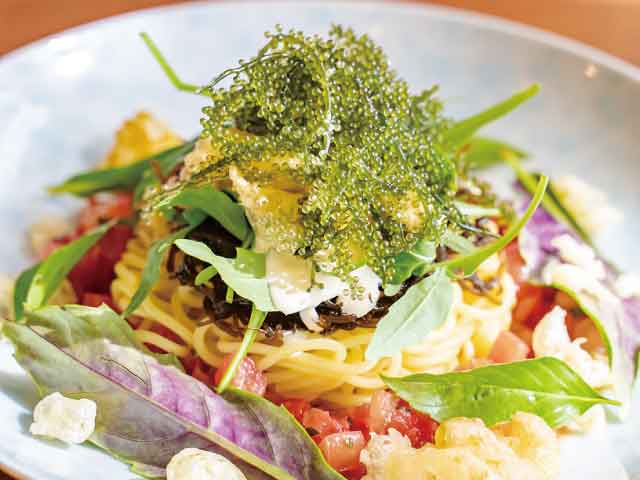 パスタハウス庭