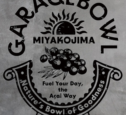 GARAGE BOWL