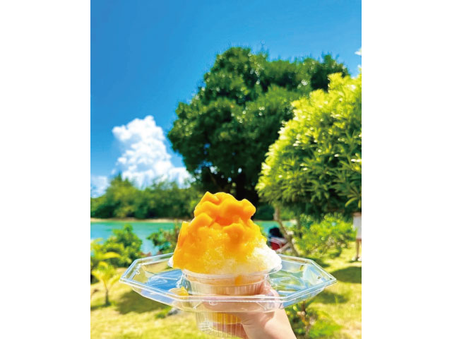 RAB´S ICE