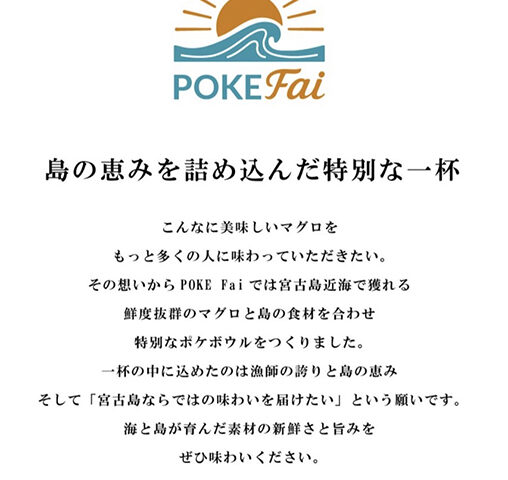 Poke Fai  ポケファイ