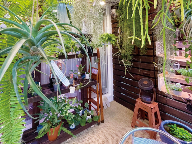 よつばとクローバー