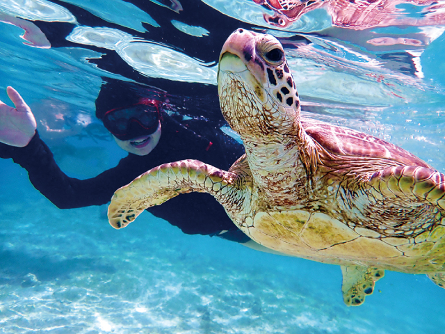 ハーミットクラブ