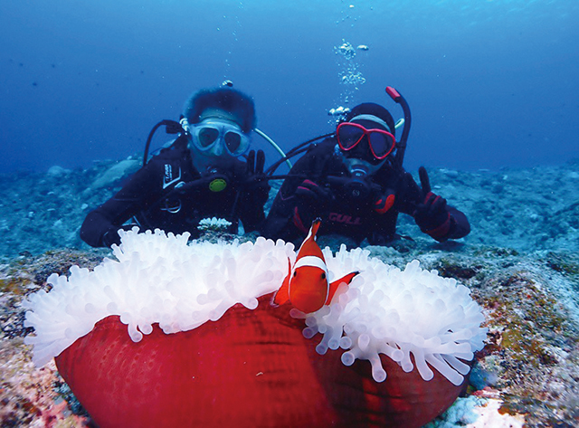 MAR PROMOTION -マールプロモーション-