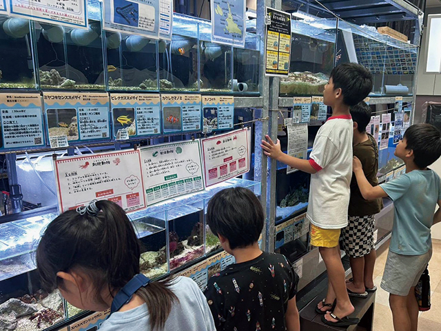 KAIKENのチイサナ水族館