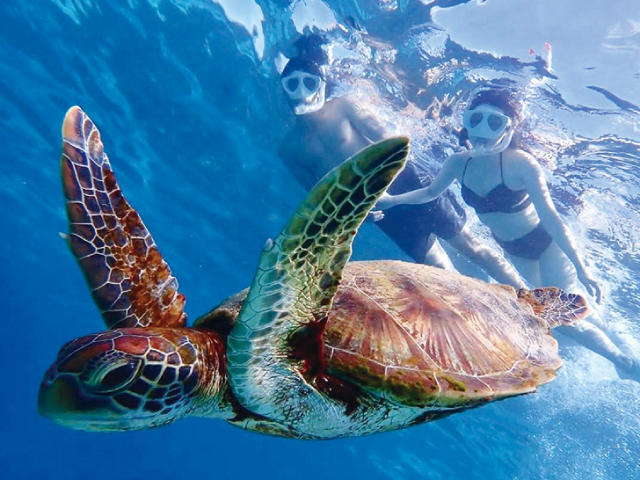 宮古島シュノーケルMINAMO