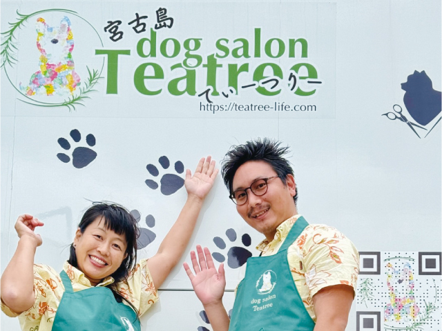 宮古島の出張ドッグサロンてぃーつりー