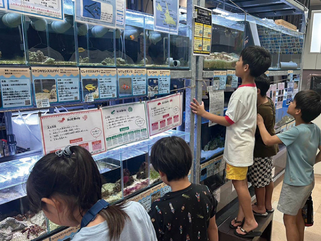 KAIKENのチイサナ水族館
